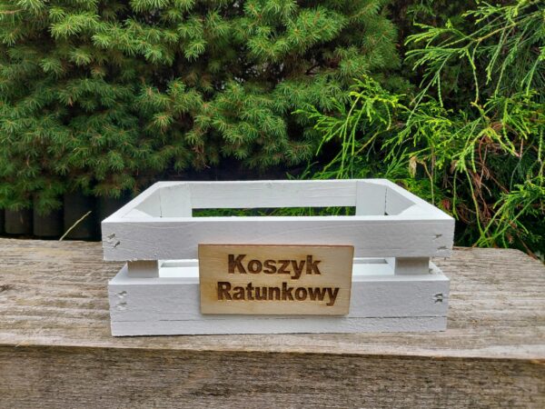 Grawerowany dowolny personalizowany napis logo grafika na sklejca 100x50 mm